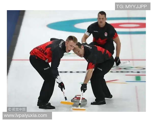 冰雪赛事积分榜最新动态分析及各队表现评估